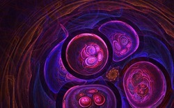 2014 04 26 Evening Plastic 66-black.jpg